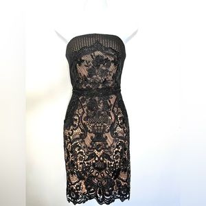 Gorgeous black nude lace mesh dress